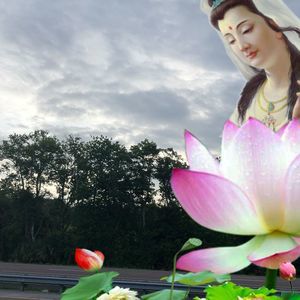 Meet your Posher, Trieu